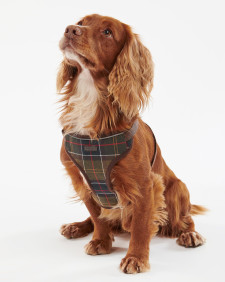 Travel And Exercise Harness Classic Tartan