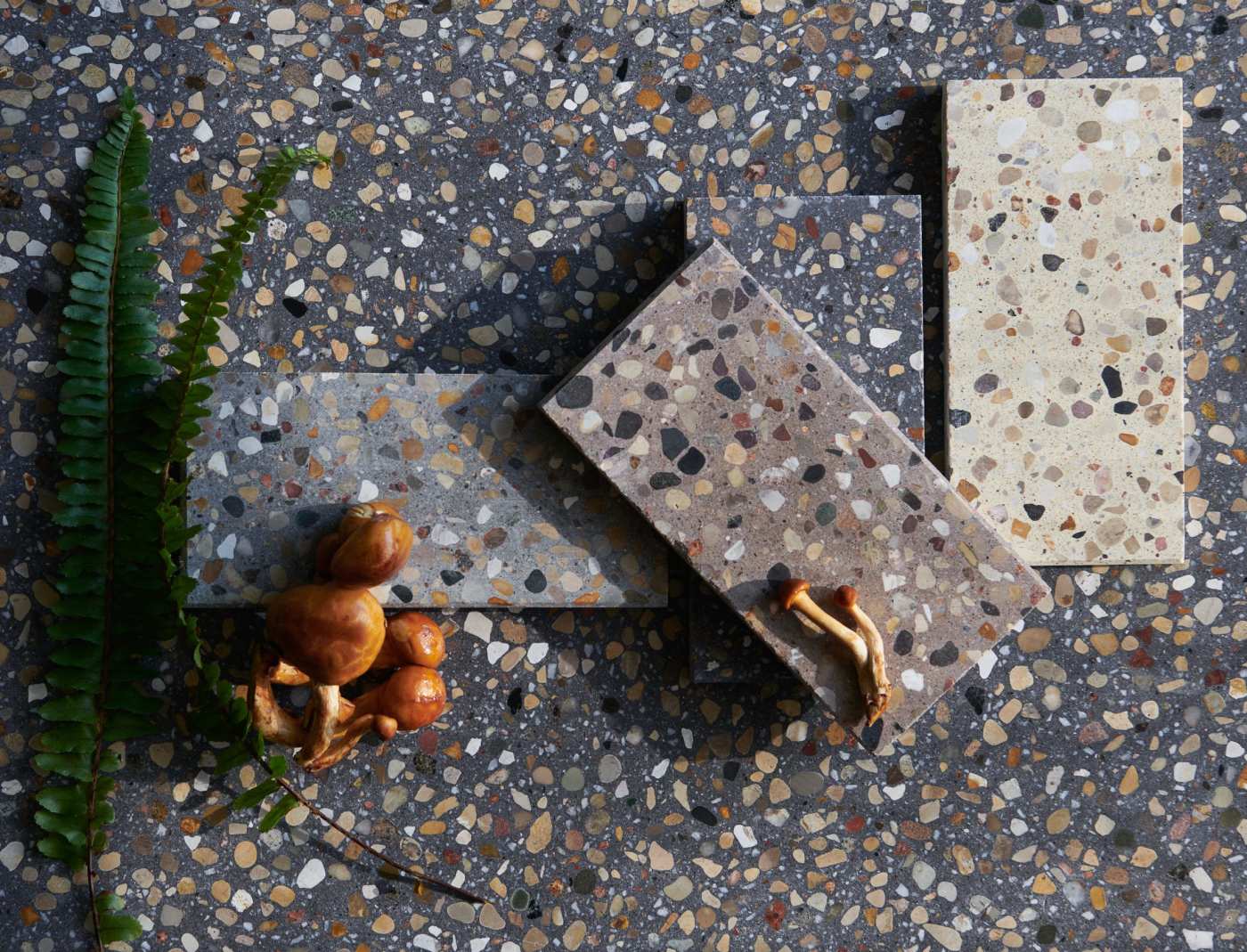 a group of tiles and two fern leaves on a terrazzo tile surface.