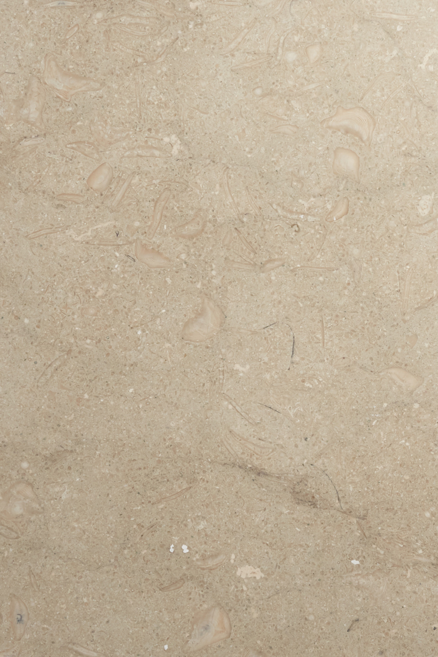 a close up image of a beige marble surface.