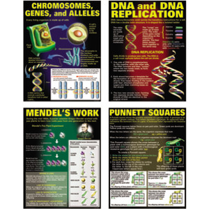 DNA & Heredity Posters, Set of 4