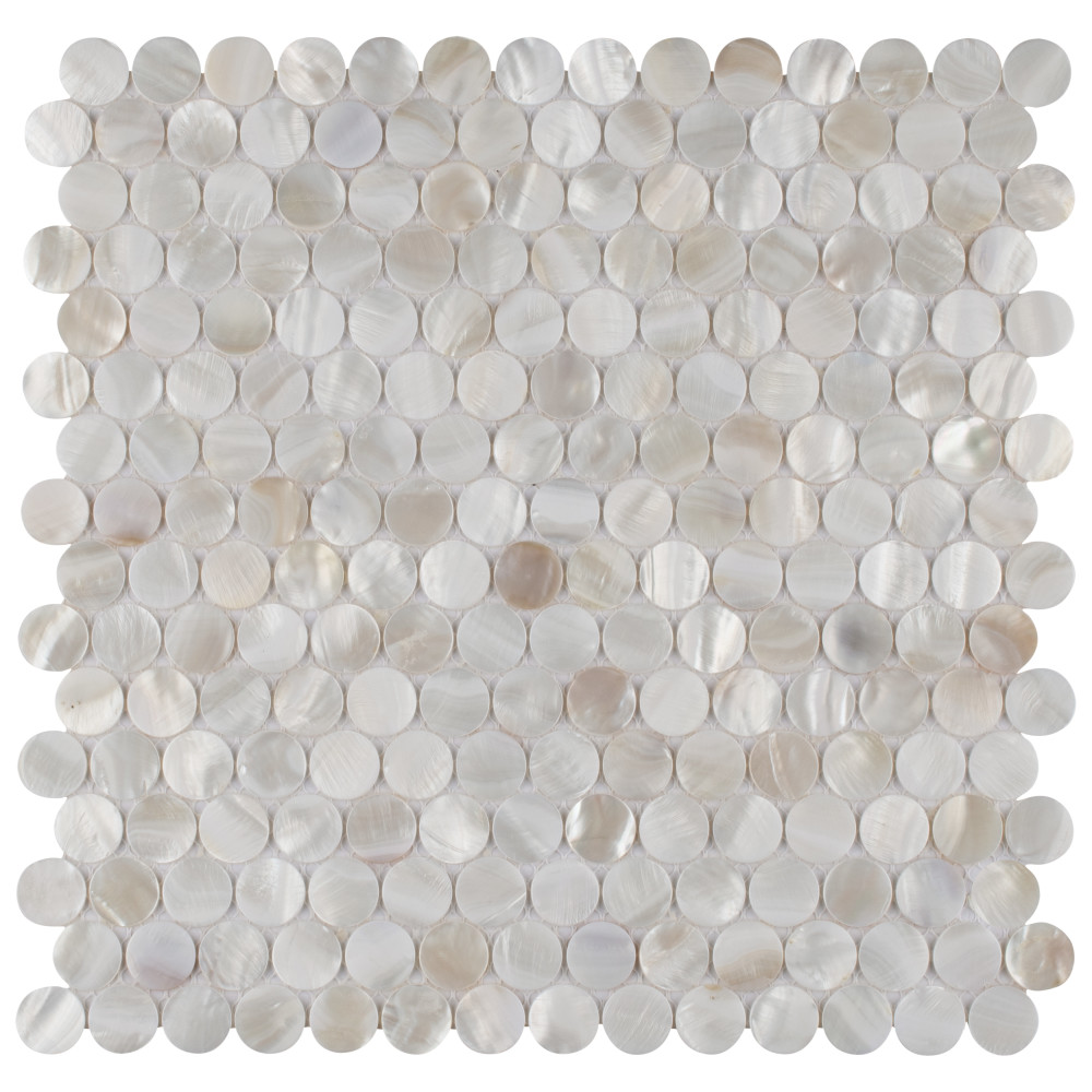 Conchella Mini Penny White 11-1/2 in. x 11-5/8 in. Natural Shell Mosaic Tile