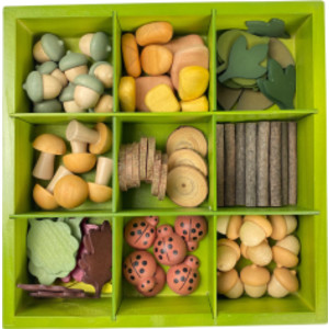 Caja clasificadora de la naturaleza
