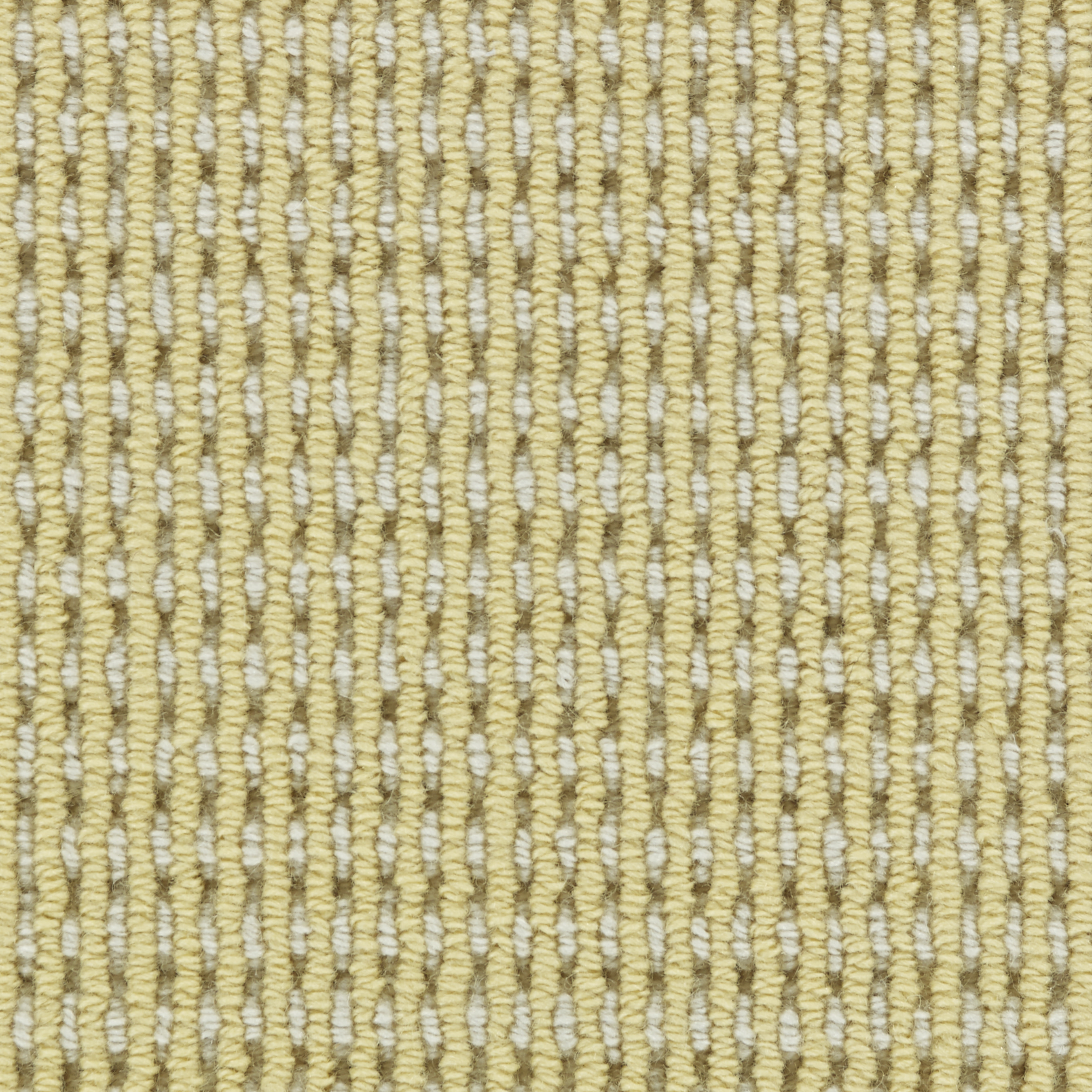 color-rug1