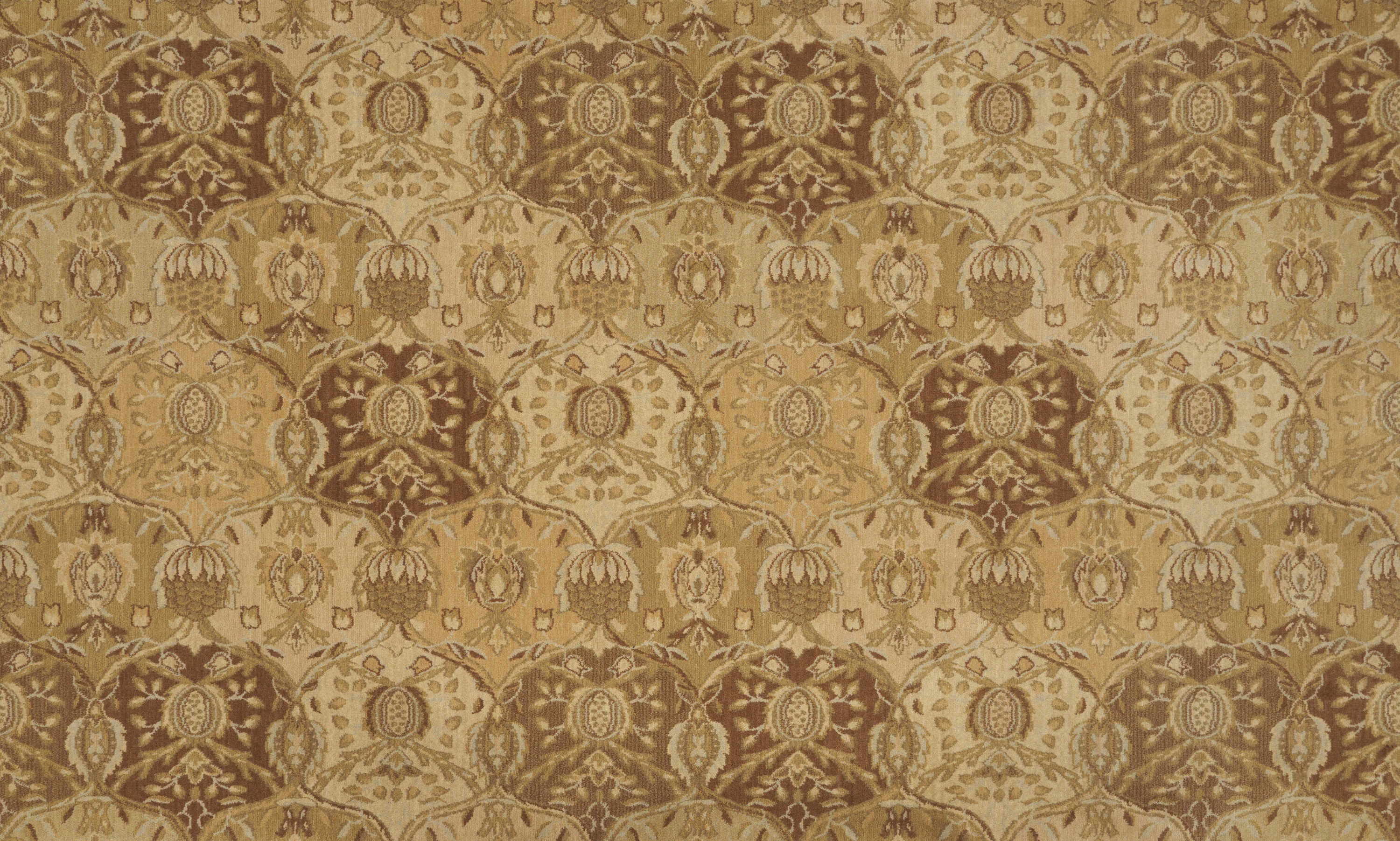 color-rug1