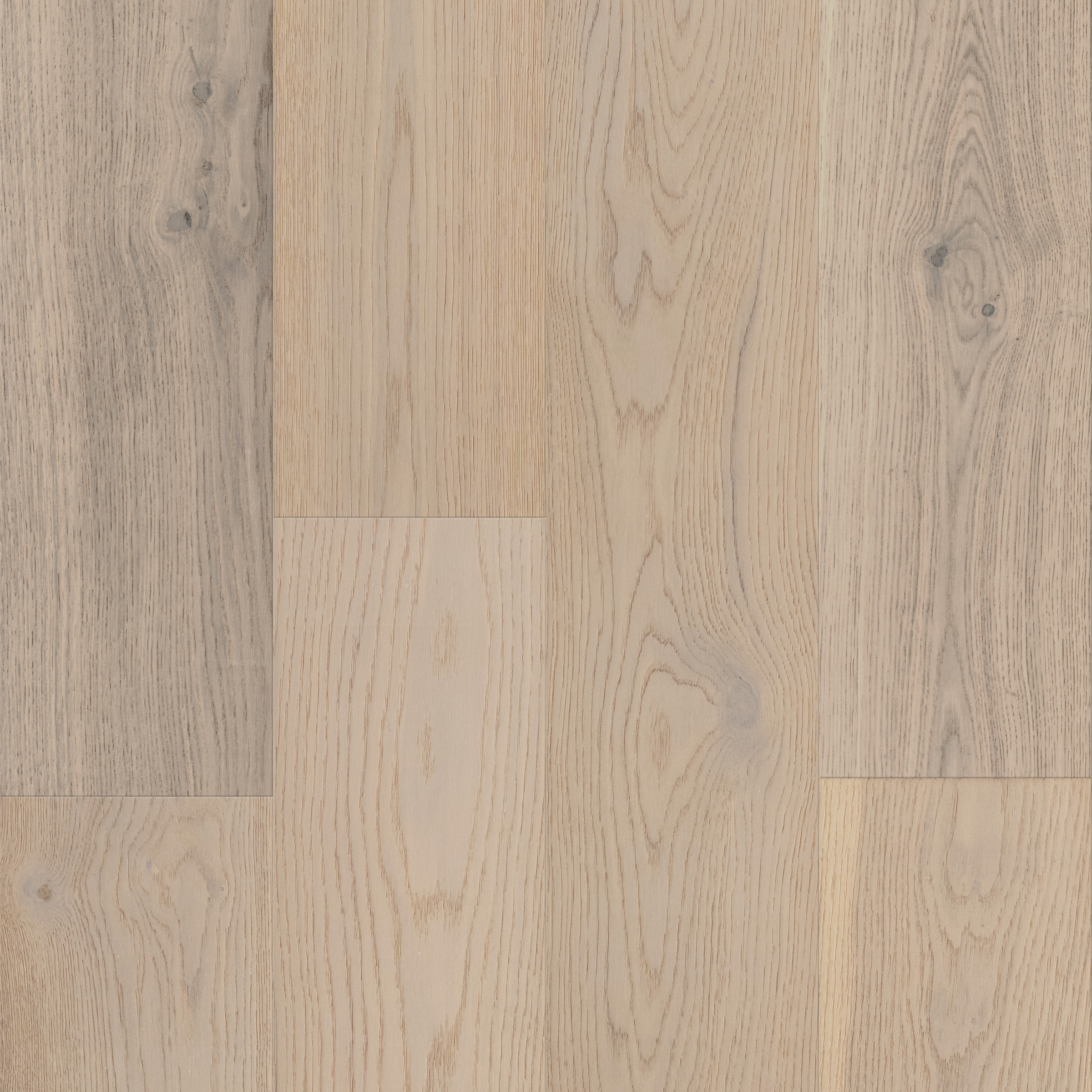 Beach Town Blanc Cali Hardwoods Threshold view 4