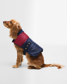 Brampton Quilted Dog Coat 