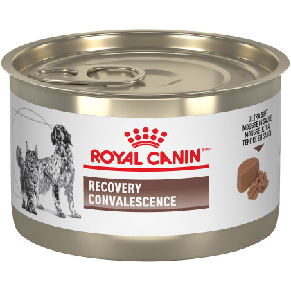 Royal Canin Veterinary Diet Feline & Canine Recovery Rs Canned Cat Food & Canned Dog Food