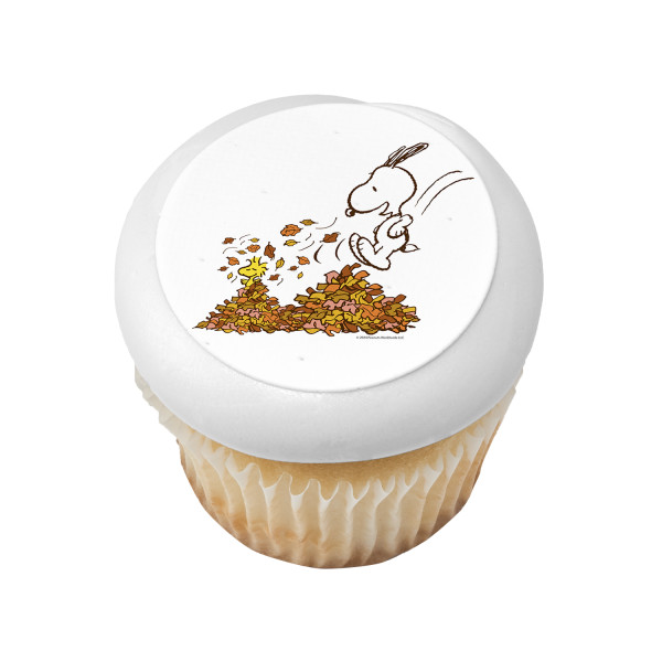 Peanuts® Happy Fall PhotoCake® Edible Image®