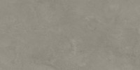 Organic Roots Medium Gray 24×48 Field Tile Rectified