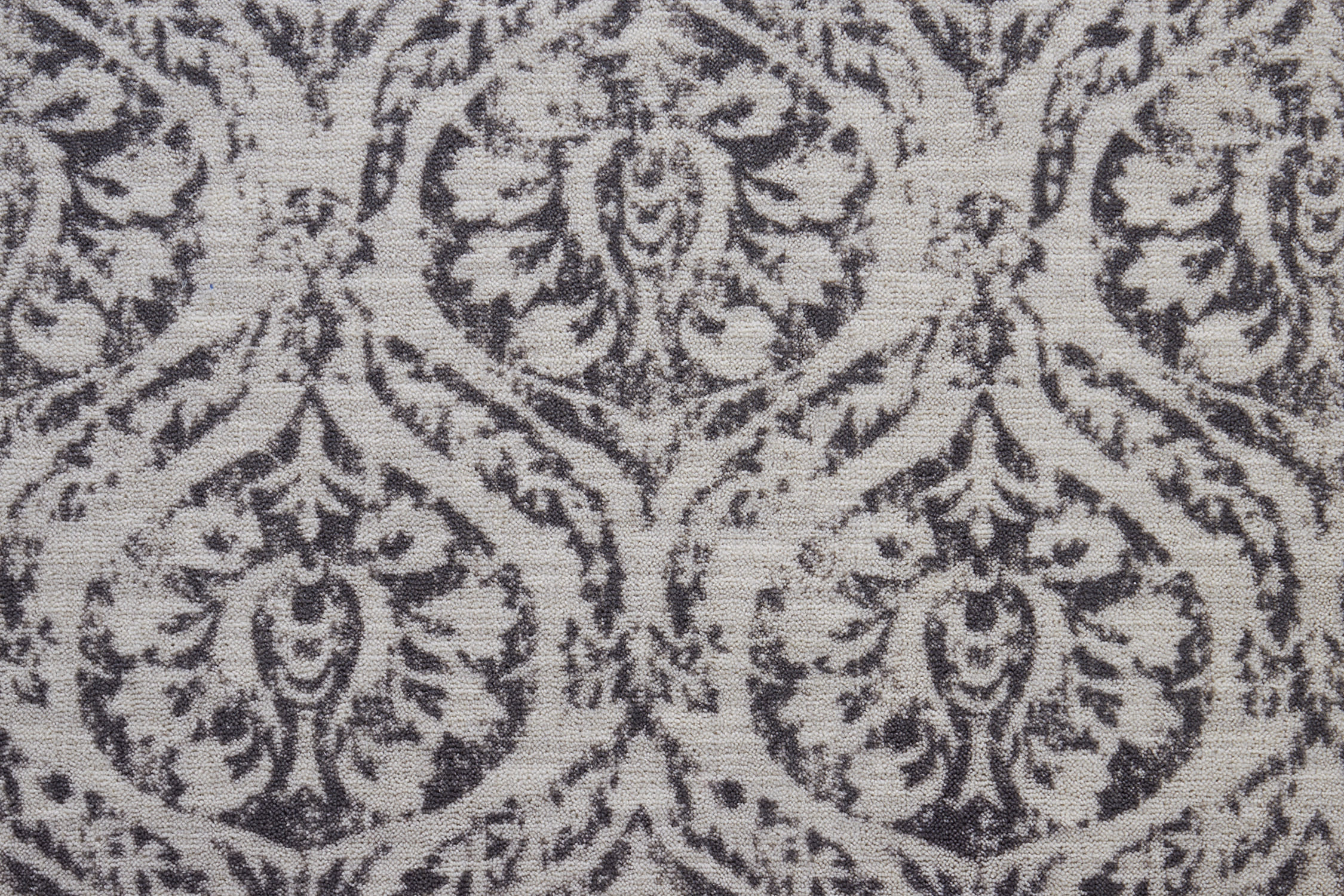 color-rug1