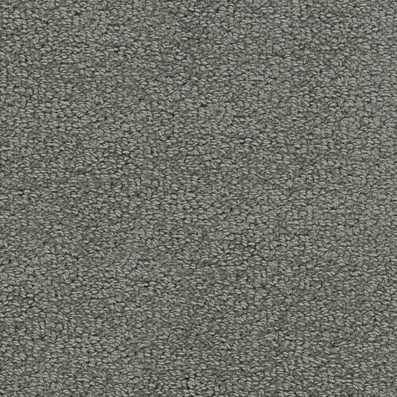 color-rug1