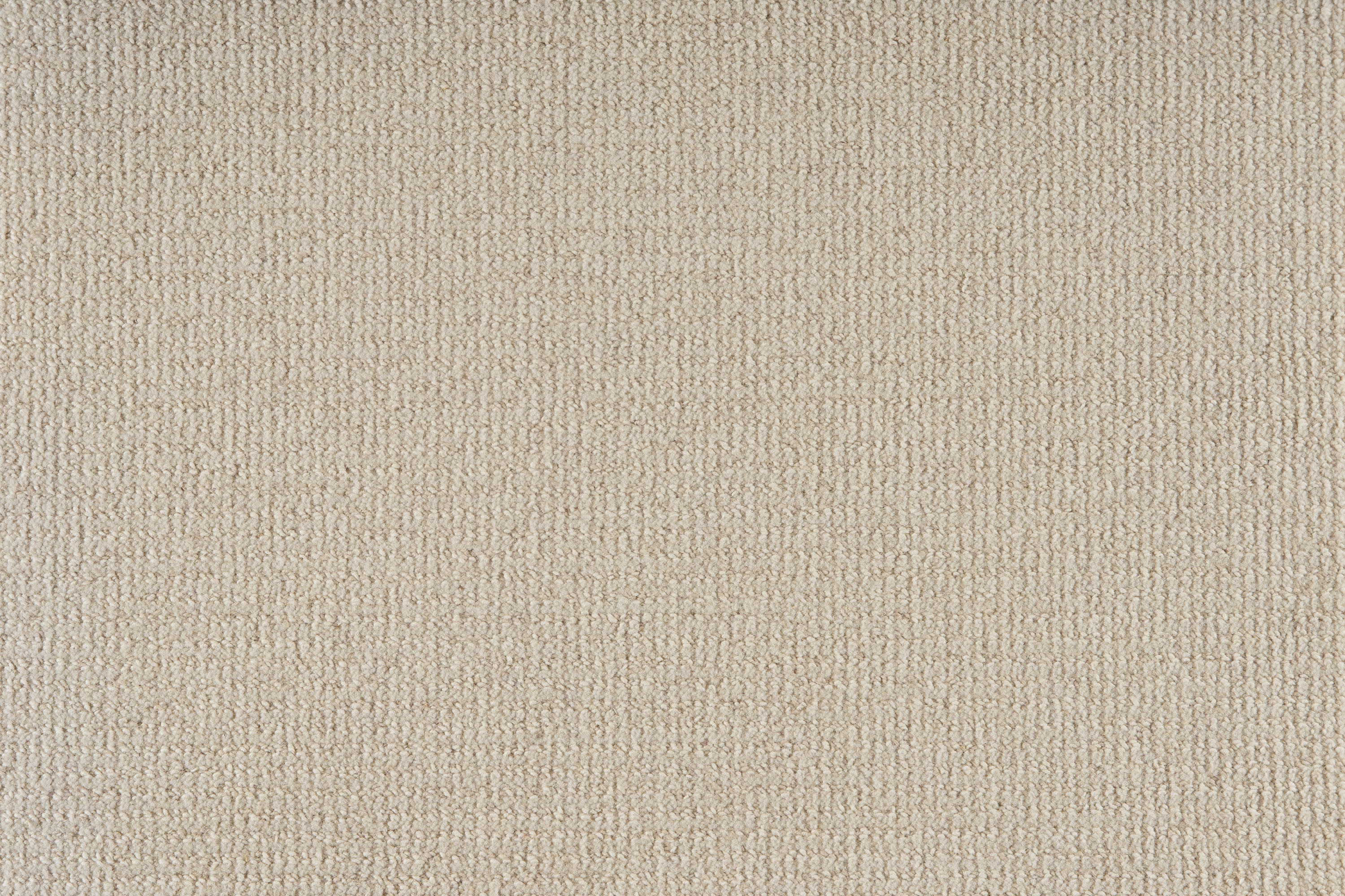 color-rug1