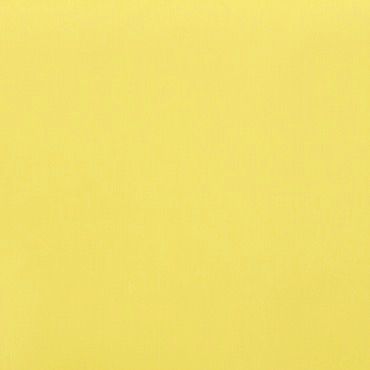 Acacia Chartreuse Conservatory Vertical Blind