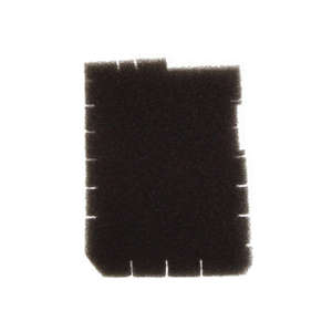 Filter Motor Intake