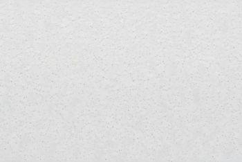 White acoustic ceiling tile with small gray speckles, mounted flush overhead, forming a continuous textured ceiling surface in a softly lit interior with even diffuse lighting and no visible fixtures.