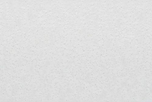 White acoustic ceiling tile with small gray speckles, mounted flush overhead, forming a continuous textured ceiling surface in a softly lit interior with even diffuse lighting and no visible fixtures.