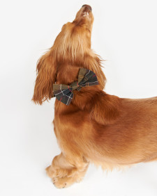 Tartan Dog Bow Tie Classic Tartan