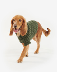 Maglia per cani Saltburn 