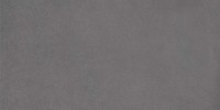 Spotlight Dark Grey 12×24 Field Tile Matte Rectified