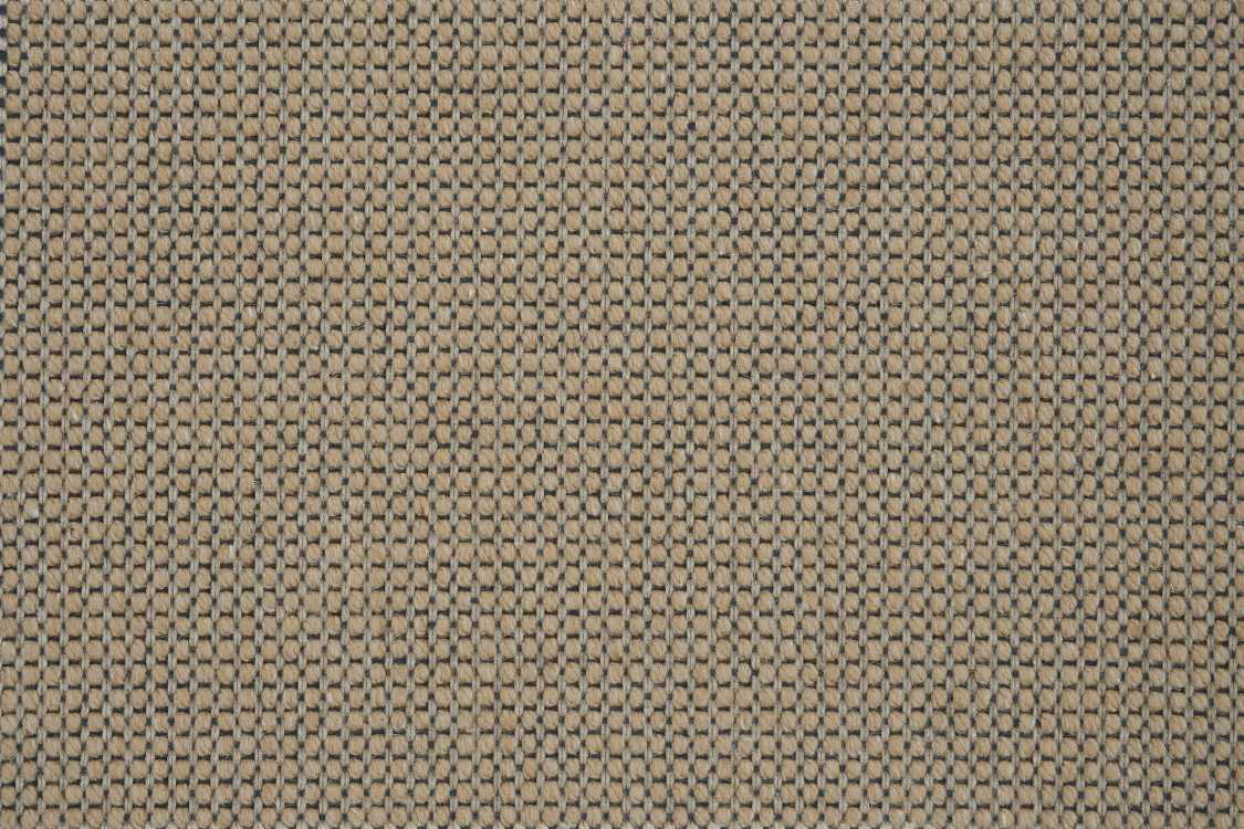 color-rug1