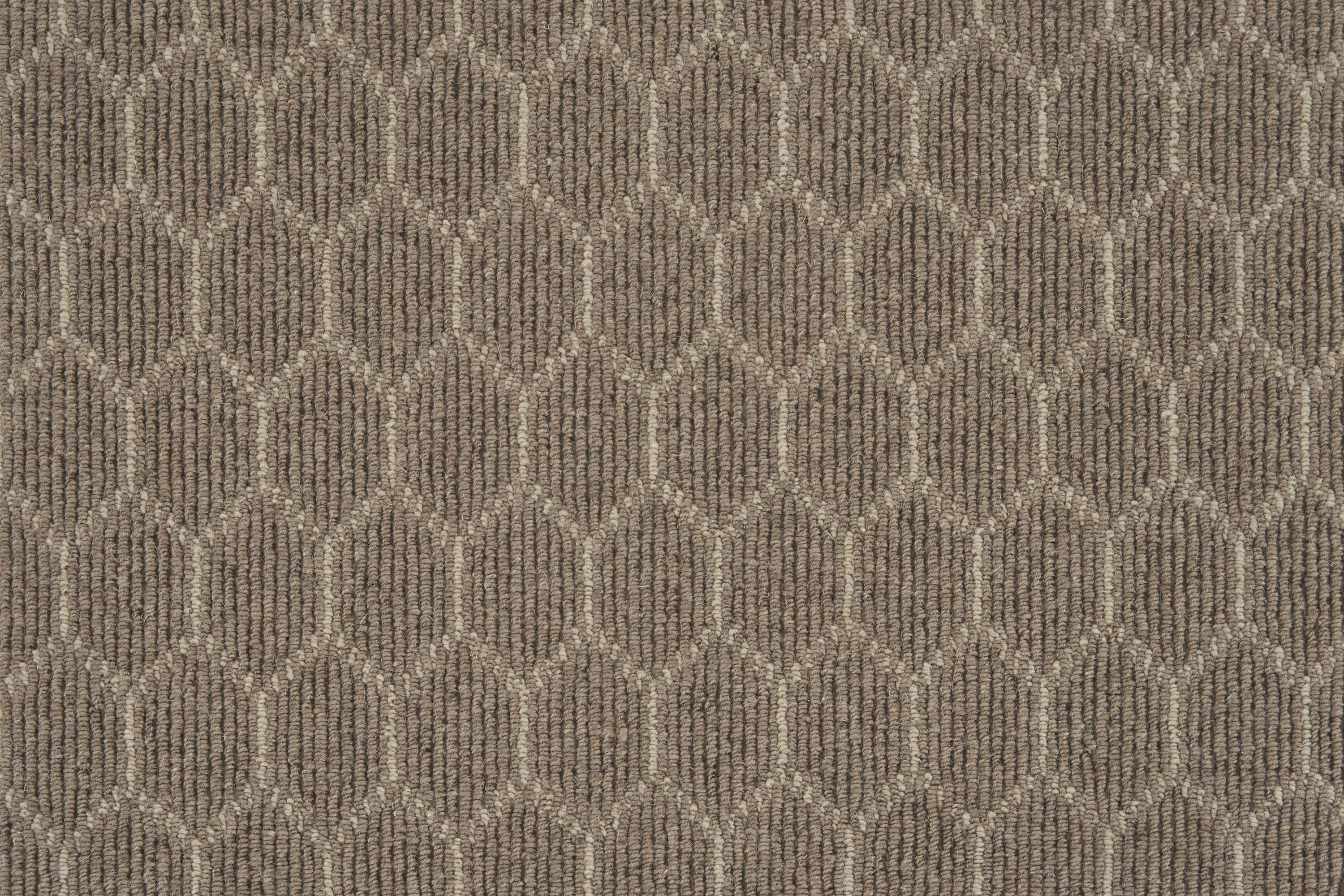 color-rug1