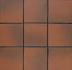 Quarry Tile/Sure Step Ember Flash 6×6 Field Tile Matte