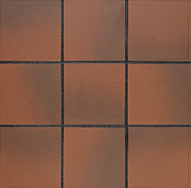 Color Variation Image