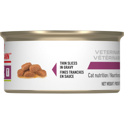 Royal Canin Veterinary Diet Feline Renal Support T Thin Slices in Gravy Canned Cat Food