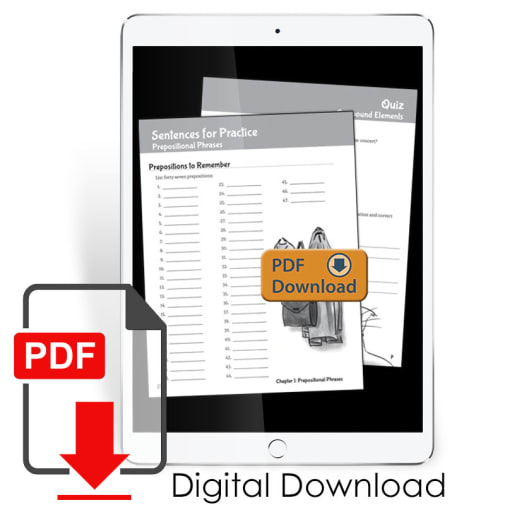 Well-Ordered Language Level 4B Extra Practice & Assessments (Digital File)