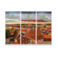 10'w PET Vinyl Graphic