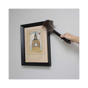 Boardwalk, Retractable Feather Duster, 9" To 14" Handle, Ostrich Feather, Black, 5 in