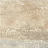 Danya Cove 12×12 Field Tile Matte