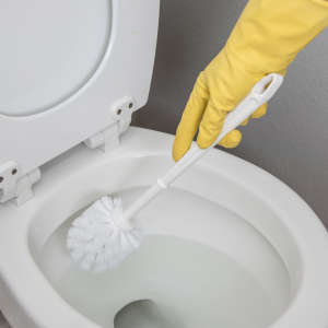 Carlisle, Flo-Pac, Bowl Brush, Plastic Bristles, White