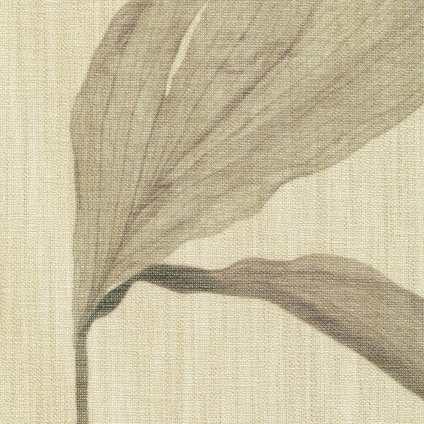 Nancy 1667 Curtains
