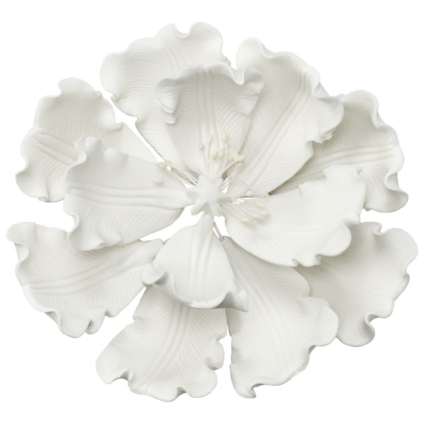 White Peony Gum Paste Flowers | DecoPac