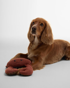 Giocattolo per cani a forma di granchio 