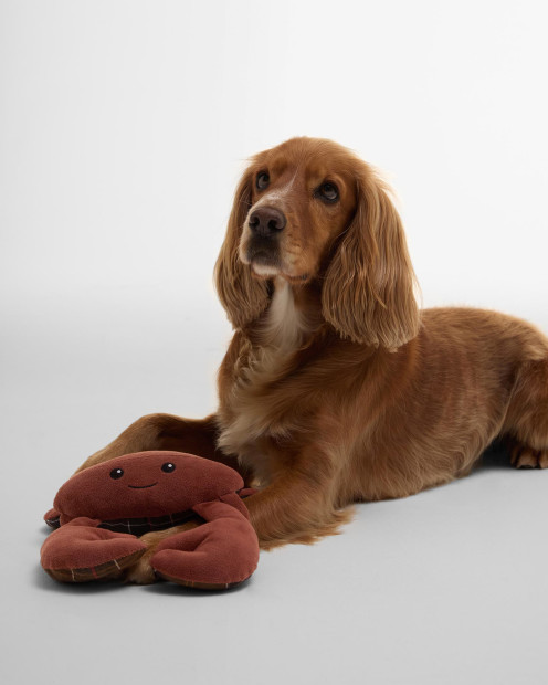 Crab Dog Toy Crab