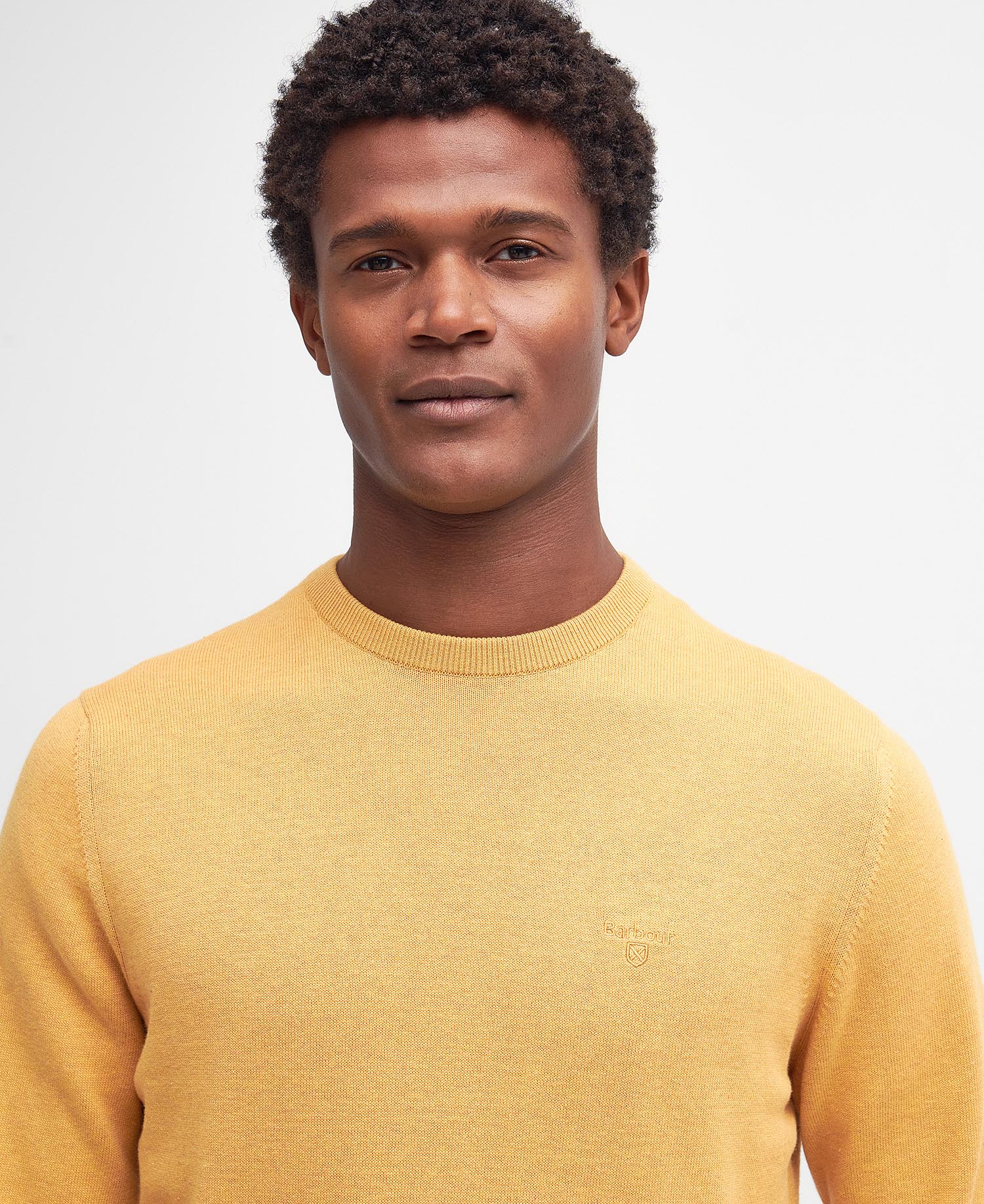 Maglione girocollo in cotone Pima image number 3