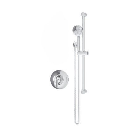 Birch Hand Shower Trim
