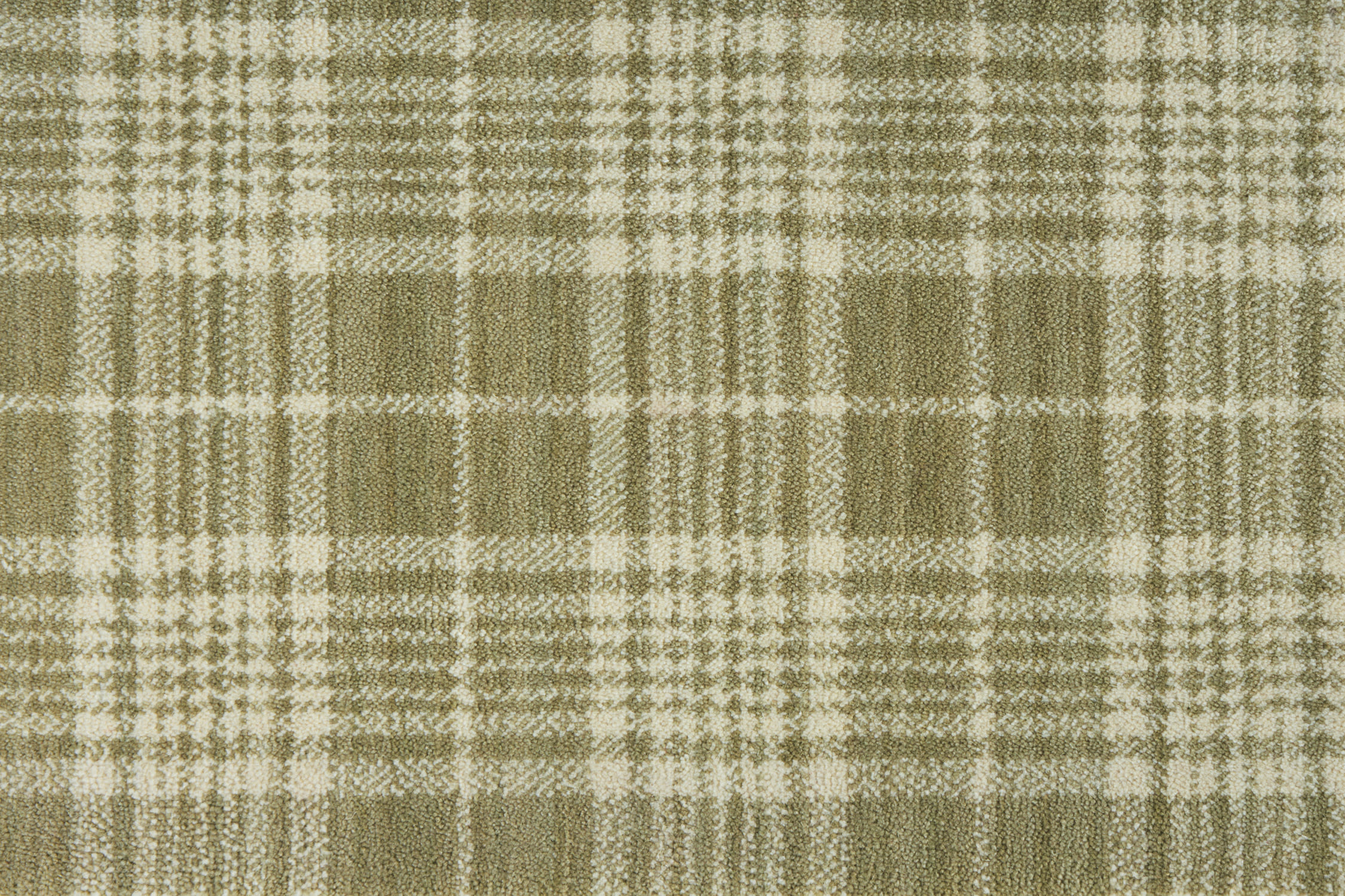 color-rug1
