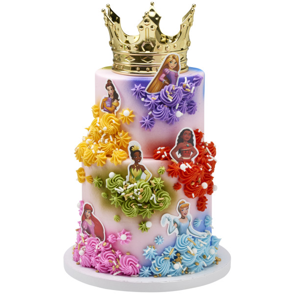 Disney Princess Assortment Poly DecoPics®