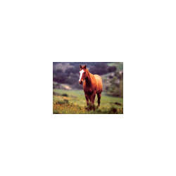 s--bB9cfxeb--/y8sqzzem02ps0fljhnec.jpg