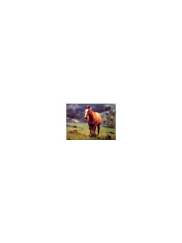 s--bB9cfxeb--/y8sqzzem02ps0fljhnec.jpg