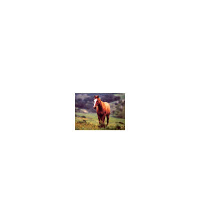 s--bB9cfxeb--/y8sqzzem02ps0fljhnec.jpg