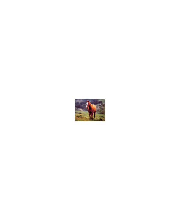 s--bB9cfxeb--/y8sqzzem02ps0fljhnec.jpg