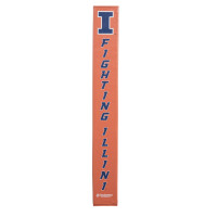 Illinois Fighting thumbnail 2