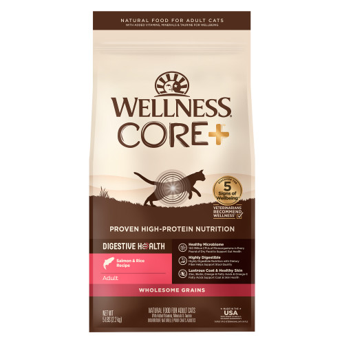 Wellness CORE+ Digestive Health Salmon Front packaging