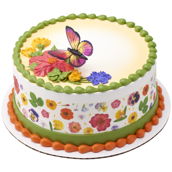 Dragonfly and Butterfly DecoPics®