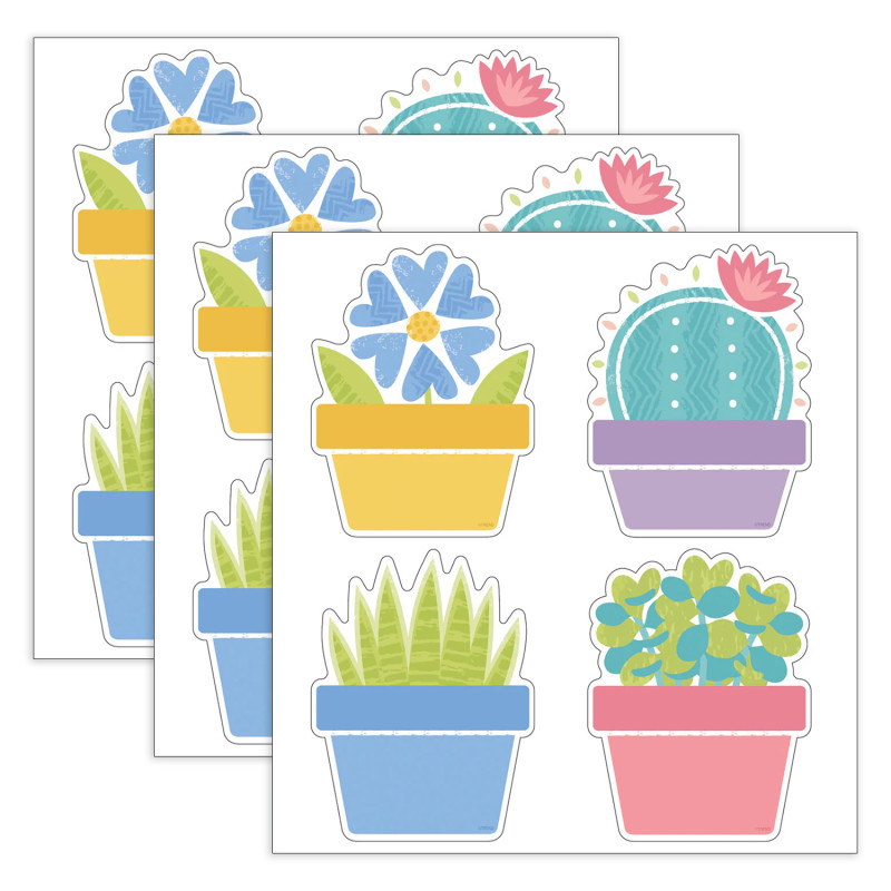 Garden Plants Classic Accents® Variety Pack, 36 Per Pack, 3 Packs