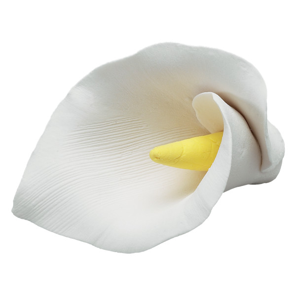 White Calla Lily Single Gum Paste Flowers
